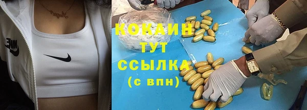 шишки Абаза