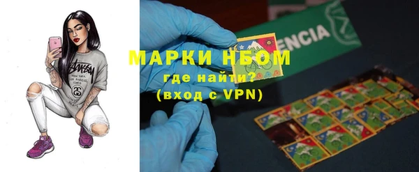 шишки Абаза