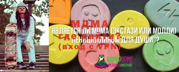 шишки Абаза
